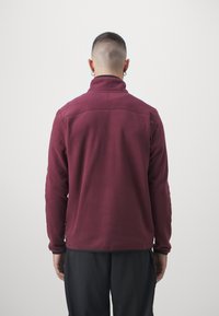 The North Face GLACIER ¼ ZIP - EMBROIDERED LOGO - Flisinis džemperis - alpine plum