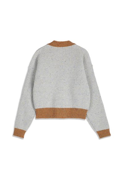 Pull en maille gris clair avec col, poignets et ourlet côtelés marron, vu de dos avec manches longues et coupe décontractée.