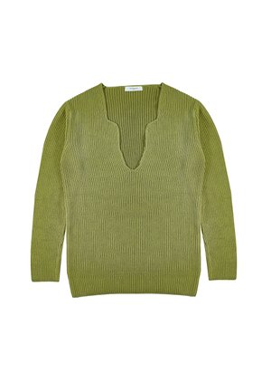 Pull en tricot côtelé vert avec un décolleté en V profond et des manches longues. Le tissu présente une apparence texturée, ce qui renforce son intérêt visuel.