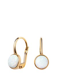 Srebrne kolczyki z zapięciem typu lever-back, ozdobione okrągłymi opalowymi kamieniami o irydyscencyjnym wykończeniu. Gładka powierzchnia i wypolerowane osadzenie podkreślają ich design.