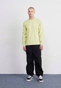 Dickies TIMBERVILLE TEE - Hosszú ujjú felső - pale green