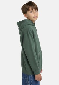 Element CORNELL 3.0  - Hoodie - tkr