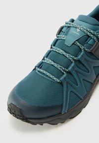 Columbia PEAKFREAK ROAM - Pantofi drumeție - everblue/dark grey