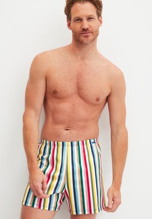 Costume da bagno a righe colorate con una fascia elastica in vita. Righe verticali blu, rosse, gialle e verdi su sfondo bianco.