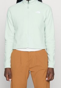 Giacca in pile verde menta cropped con colletto alto, zip frontale e logo sul lato sinistro del petto. Abbinata a pantaloni marrone chiaro.