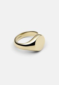 Inel de culoare aurie cu un band neted și rotunjit și un vârf circular, plat. Finisaj elegant, lustruit, fără modele sau accente vizibile.