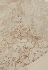Nádherná krajka v nude barvě s propracovanými květinovými vzory, jemnou strukturou a hladkým okrajem; lehký a delikátní vzhled.