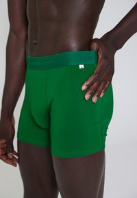 Grønne bomuldsboxershorts med bred elastisk talje, der har mærkets navn. Glat tekstur og tætsiddende pasform, designet til komfort.