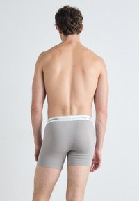 Boxer briefs grigi con vita bianca che presenta il logo "Calvin Klein". Texture liscia, design aderente e taglio di lunghezza media.