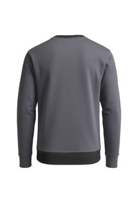 Grauer Pullover mit Rundhalsausschnitt, langen Ärmeln, gerippten Bündchen und Saum. Glatte Textur in einfarbiger Ausführung ohne sichtbare Muster.