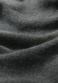 Next BORG LINED HOODIE  - Ľahká bunda - slate grey