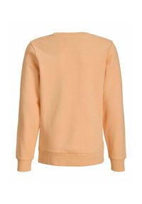 Langærmet sweatshirt i ferskenfarve med ribbede ærmegab og kant, vist bagfra på hvid baggrund.