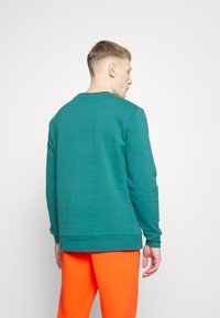 Felpa verde petrolio con scollo rotondo e maniche lunghe, caratterizzata da polsini e orlo a costine. Indossata con pantaloni arancioni, presenta un design casual.