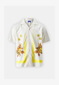 Selected, fields of rye