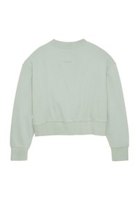 Lichtgroene, cropped sweatshirt met een ronde hals, geribbelde manchetten en een textuurafwerking. Bevat een klein, discreet detail aan de achterkant.