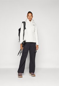 The North Face QUEST INSULATED JACKET - Jakna za nošenje na otvorenom - white dune