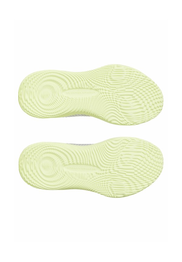 DYNAMIC 2 - Training shoe - halo gray4