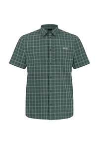 Unausgewählt, check sago palm