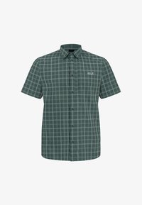 Unausgewählt, check sago palm