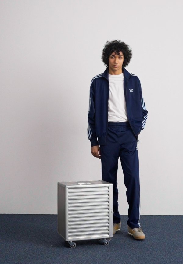 FIREBIRD  - Tracksuit bottoms - clear sky3