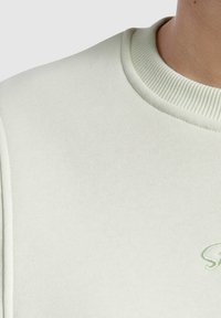 Sudadera verde claro con cuello redondo acanalado, textura suave y un sutil detalle bordado en el pecho. Presenta un diseño ajustado.