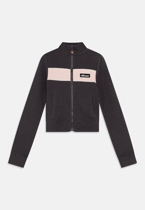 CHAMBERY - Mikina so zipsom - dark grey
