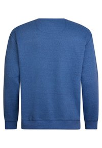 Sudadera azul de manga larga, cuello redondo y puños acanalados. Tejido texturizado con un ligero patrón jaspeado en toda la prenda.