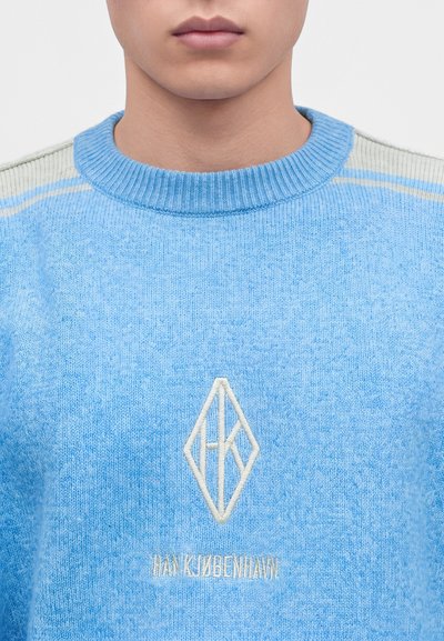 Personne portant un pull bleu clair en tricot avec un col rond et un logo blanc brodé ainsi qu'un texte sur la poitrine.