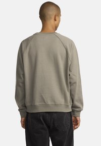 Lichtgrijze sweatshirt met raglanmouwen, ribgebreide manchetten en onderrand. Zachte katoenen mix stof. Achteraanzicht toont een minimalistisch ontwerp zonder graphics.