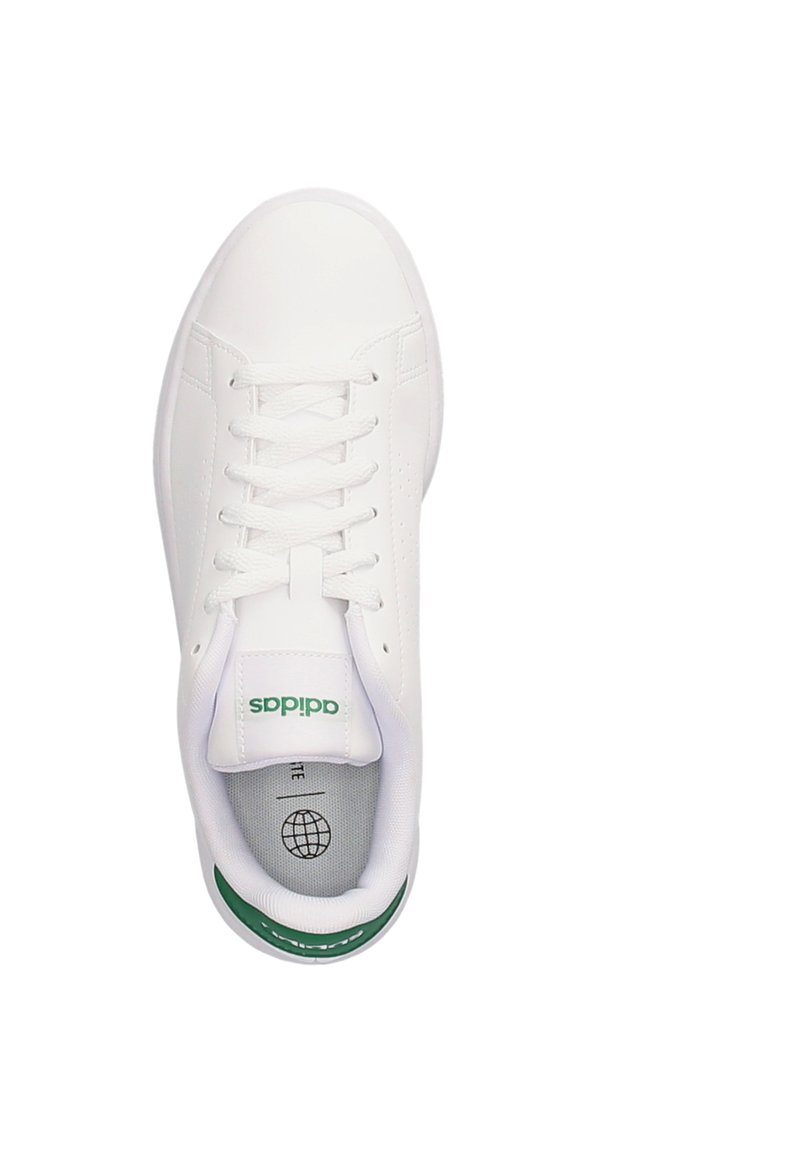 adidas Originals ADVANTAGE - Tenisky - white