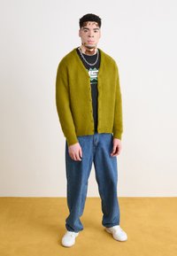 Manastash ABERDEEN KURTIGAN - Chaqueta de punto - pistachio