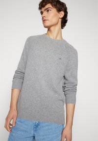 GANT BICOLORED RAGLAN C-NECK - Pullover - dark grey