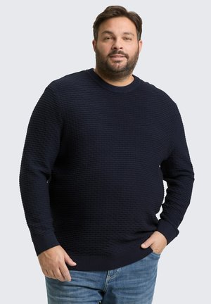 MIT RUNDHALSAUSSCHNITT - Maglione - sky captain blue