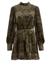 Robe verte à motifs avec de longues manches bouffantes, un col haut et une ceinture à la taille. Elle présente une texture en velours et des motifs floraux en or et marron.