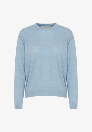 Pull bleu clair à manches longues, fabriqué en tissu doux, avec un col rond et une coupe décontractée, doté de bords côtelés aux poignets et à l'ourlet.