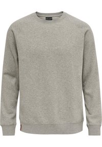 CLASSIC  - Sweatshirt - grey melange