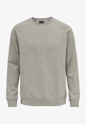 Grijze sweatshirt gemaakt van zachte stof, met lange raglanmouwen, een ronde hals en ribgebreide boorden en zoom. Minimalistisch ontwerp, zonder patronen.
