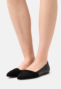 Black flats featuring a pointed toe, made of suede and leather, with a two-tone design showing a smooth leather upper and textured suede front.