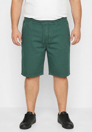 Men Plus BERMUDA SHORTS, FLEXLASTIC®, RELAXED FIT, UP TO 8XL - Shorts - grey green