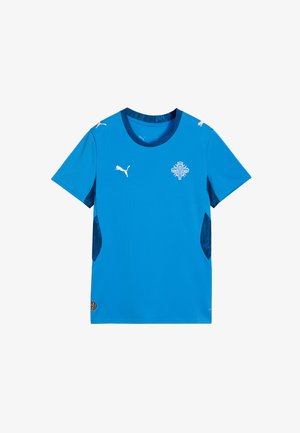 Tricou atletic albastru cu mâneci scurte, cu logo alb Puma și un emblemă cu fulg de zăpadă. Are panouri laterale patternate pentru ventilație.