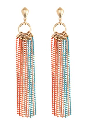 Earrings - multi coloured