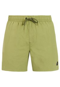 Non sélectionné, fern green