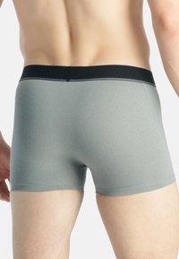 Grå boxershorts i ett mjukt, stretchy tyg. Midjebandet är svart med en texturerad design och en subtil grå linje.