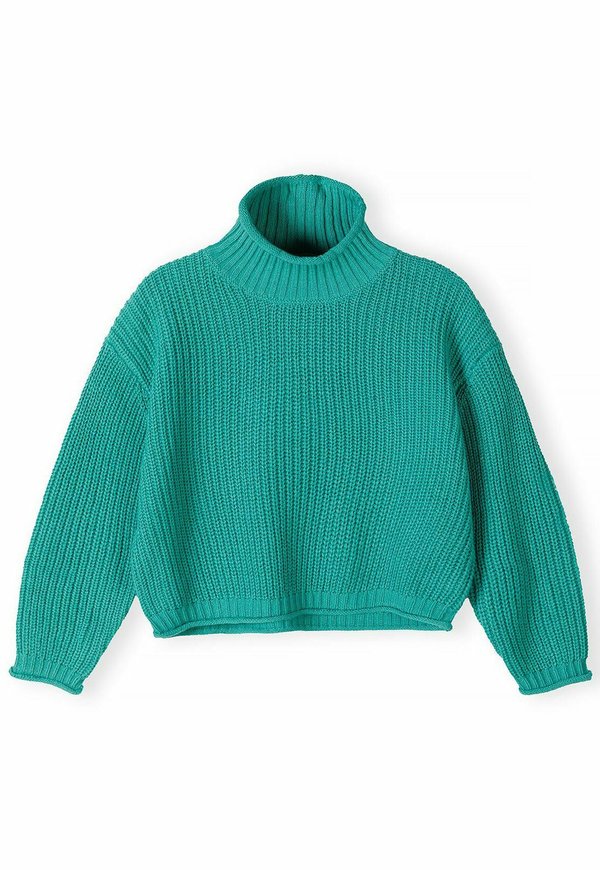 ROLL NECK  - Strickpullover