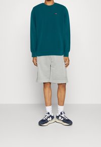 Felpa verde acqua con maniche lunghe e polsini a costine, abbinata a pantaloncini grigio chiaro. Calzature sono scarpe da ginnastica blu scuro con dettagli bianchi.