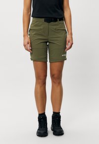 Adidas Terrex UTILITAS - Lauko kelnės - olive strata