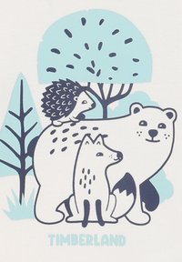 Witte achtergrond met een blauwe en donkerblauwe illustratie van een egeltje, een vos en een ijsbeer tussen bomen. Onderin de tekst "TIMBERLAND".