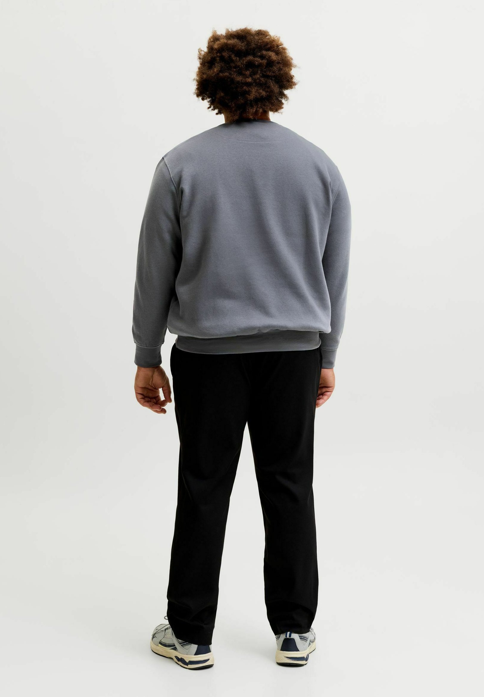 Jack & Jones JJESOHO SWEAT CREW NECK NOOS PLS - Sweatshirt