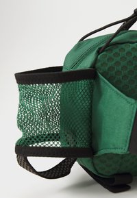 Columbia ECHO MOUNTAIN™ HIP PACK UNISEX - Torbica za okoli pasu - rain forest/black