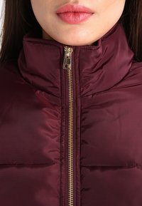 Chaqueta de plumas burdeos con un alto cuello, que presenta una cremallera dorada y textura acolchada. El material parece suave y brillante.